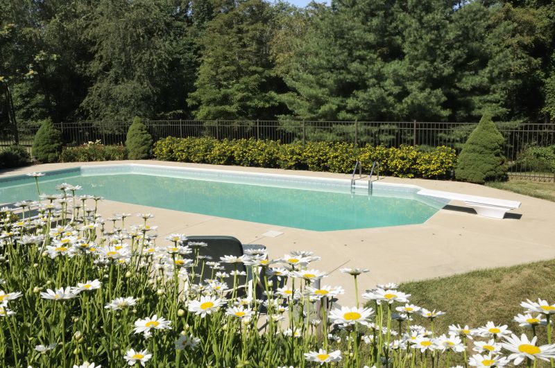 Pool Area with Paving